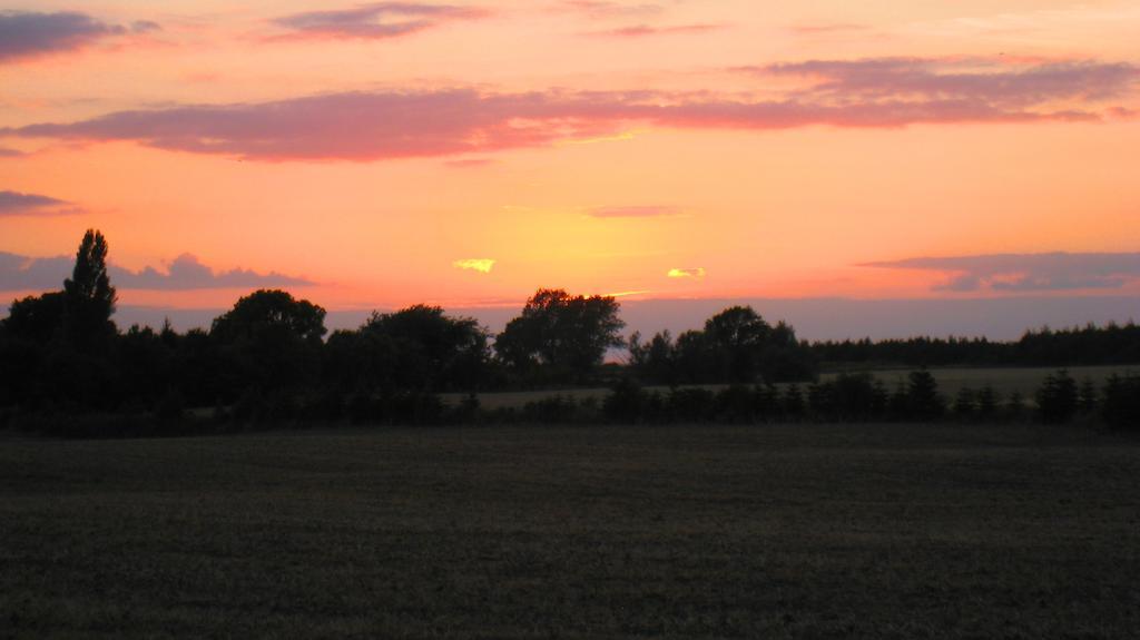 Olholm